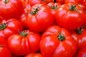 Preocupación en Cuyo: la cadena del tomate enfrenta una crisis y productores hablande “caos”
