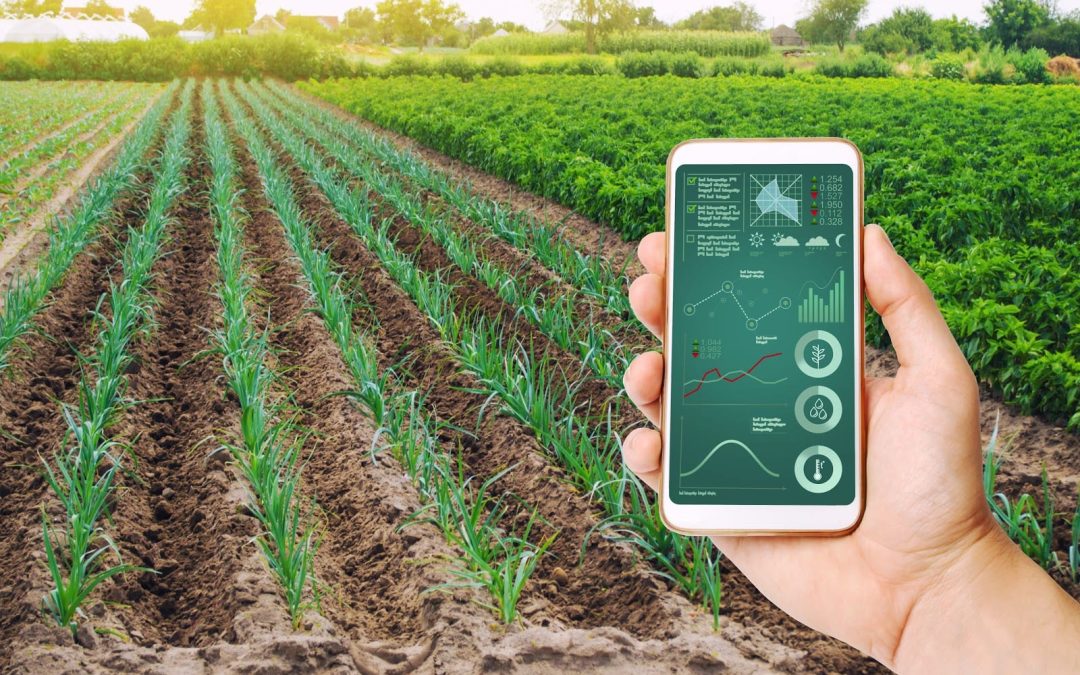 El agro frente al desafío digital: tecnología hay, lo que falta es una nueva forma depensar
