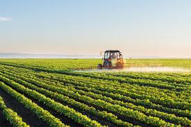Innovación con impacto: una gigante del agro busca startups que dejen un “legado”