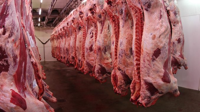 Un indicador que preocupa a la ganadería: el peso medio por animal faenado estálejos de los países de la región y aún más lejos de Estados Unidos y de Australia