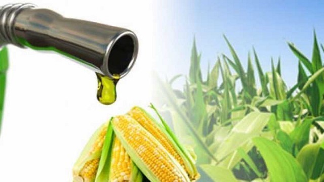 Bioetanol: Herramienta clave para potenciar el valor del maíz argentino