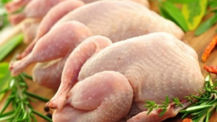 Argentina vuelve a exportar carne aviar a Japón tras gestiones oficiales