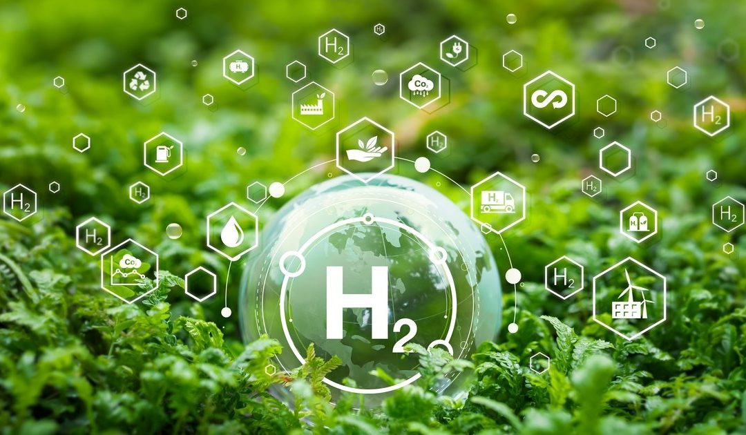 La bioenergía del futuro: “El potencial de Argentina para producir hidrógeno verde es enorme”