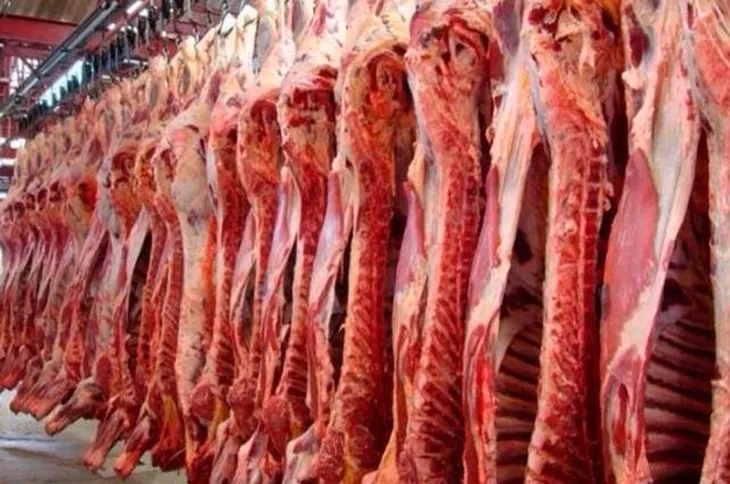 La oferta de carne vacuna crece, gracias a un mayor peso de faena
