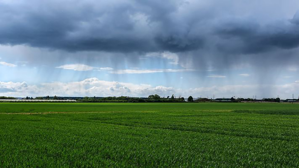 Se difundió el pronóstico climático para agosto, septiembre y octubre: lluviasnormales o superiores y temperaturas elevadas en gran parte del país