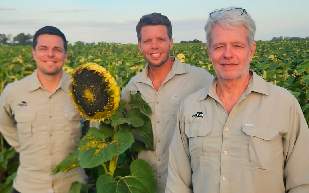 ZETA Semillas, el nombre de la genética argentina en girasol