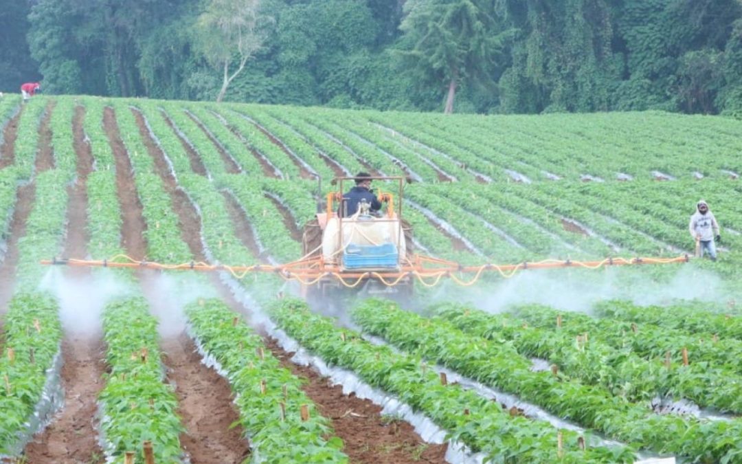Fijaron nuevos precios para los biocombustibles
