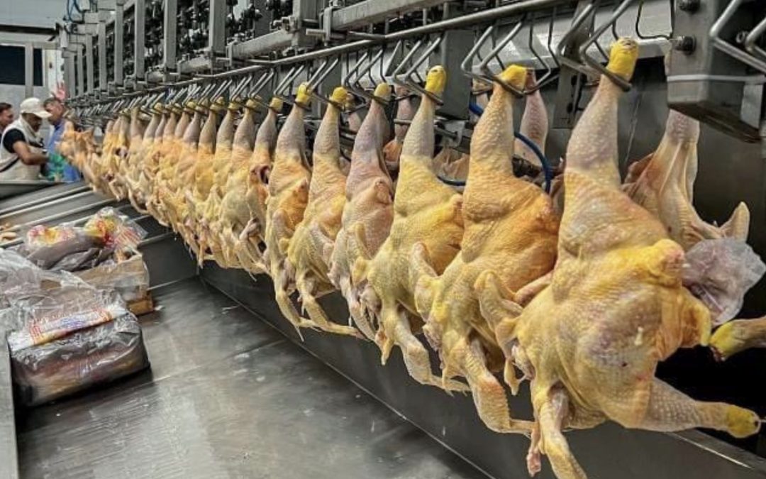 Las carnes bovinas y avícolas también serán beneficiadas con retenciones cero