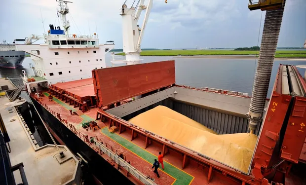Una “radiografía” del primer semestre: las exportaciones agroindustriales gozan de buena salud