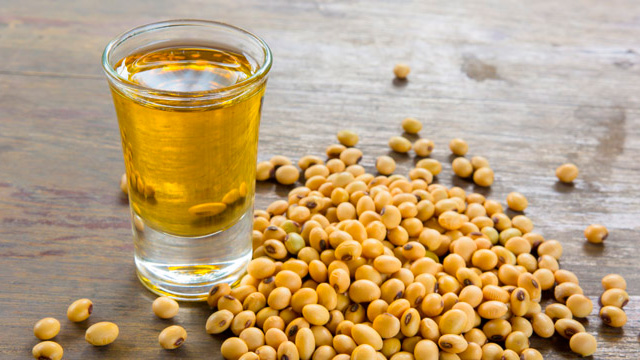 Agroexportadores piden diversificar mercados para el aceite de soja: “Más del 60% vasolo a dos países”
