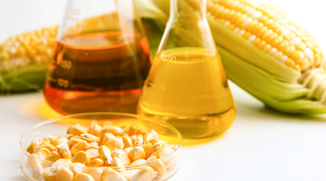 Productores de bioetanol le piden al Senado para elevar el corte en las naftas al 15%