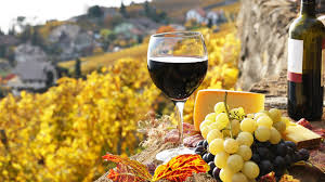 La “motosierra” llegó al vino: el INV derogó 756 normas emitidas entre 1976 y 2023