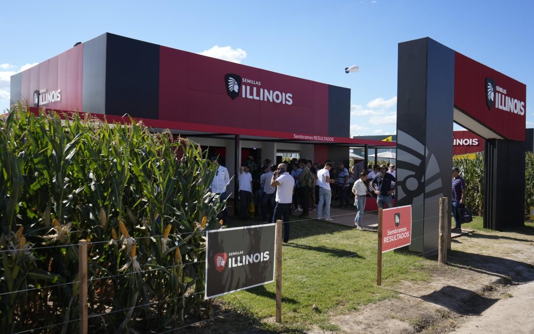 Semillas ILLINOIS, una marca que siembra resultados mirando al futuro del maíz