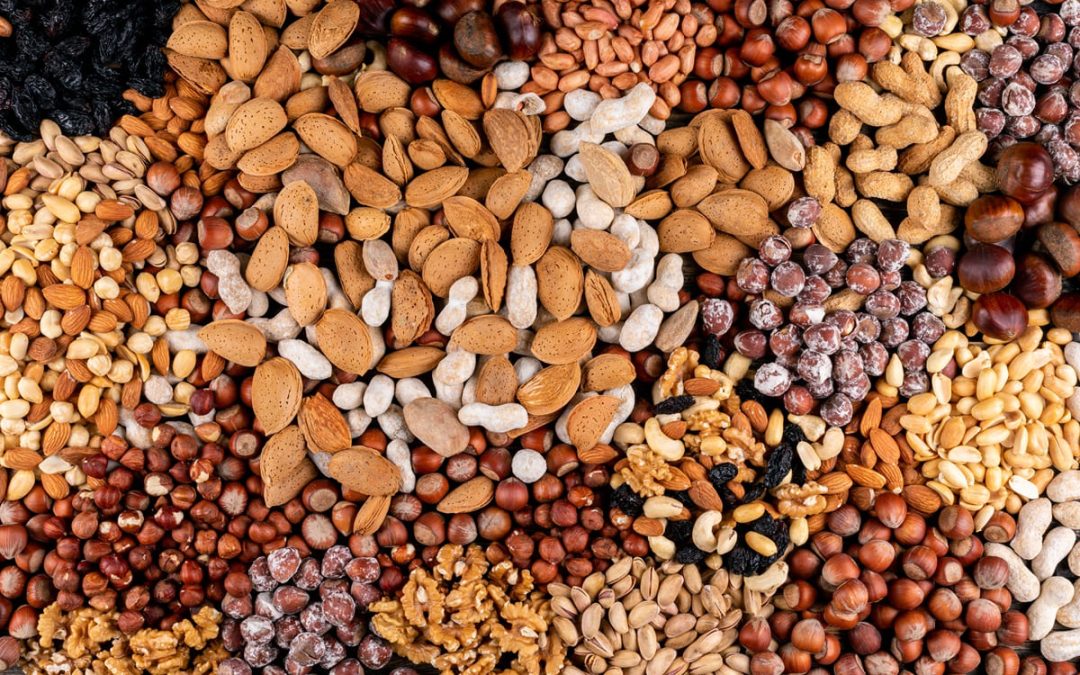 Semillas: de qué se trata el proyecto que la Mesa de Enlace entregó al Gobierno y por qué rechaza la posibilidad de adherirse a UPOV 91