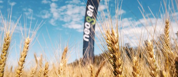 Buenas perspectivas productivas en un contexto de márgenes ajustados