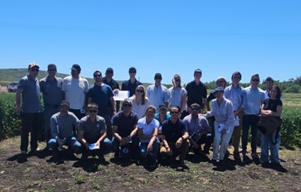 Del shock de precios a la eficiencia: Vitta Crops impulsa un nuevo modelo de nutrición nitrogenada y hacer frente al escenario de alta volatilidad