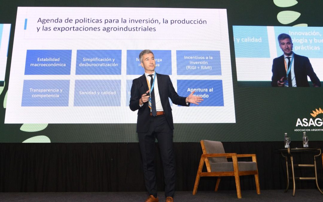 El girasol “es la estrella” pero enfrenta desafíos para consolidar su crecimiento