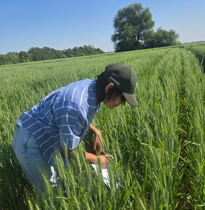 Puna Bio presenta Tayrix en A Todo Trigo: una nueva especie de Trichoderma con mayor control en más de 15 fitopatógenos