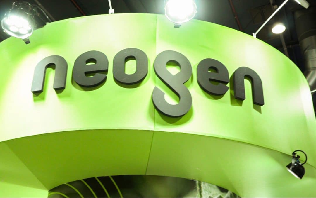 Genética de vanguardia en el epicentro del cultivo de trigo en Mar del Plata
