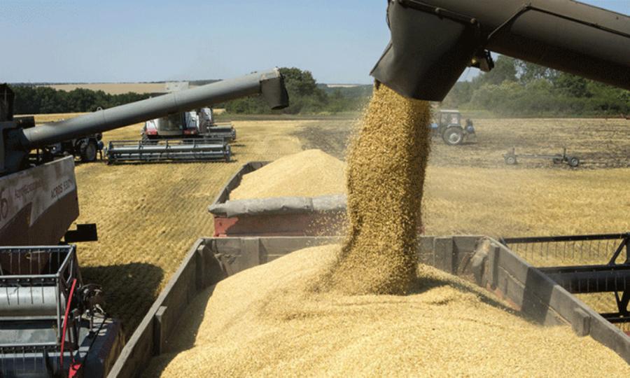 Las exportaciones agroindustriales se dispararon 31,4% en marzo y en el primertrimestre superaron los US$ 12.200 millones