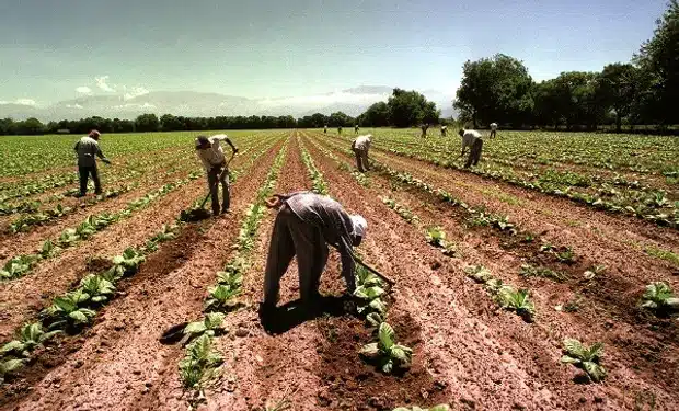 Salarios rurales: la Mesa de Enlace cruzó a la UATRE y defendió el nuevo proceso para oficializar aumentos