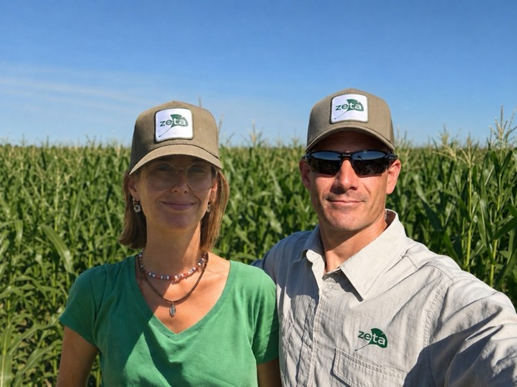 Girasol en alza y una apuesta creciente al maíz: las claves de una campaña que entusiasma a los productores