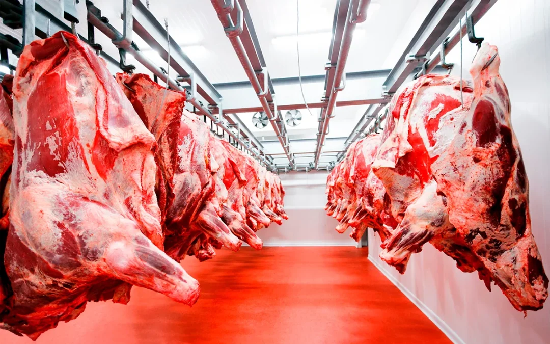 La carne bovina hace récord en el aporte de dólares y suma un nuevo mercado estratégico: Indonesia