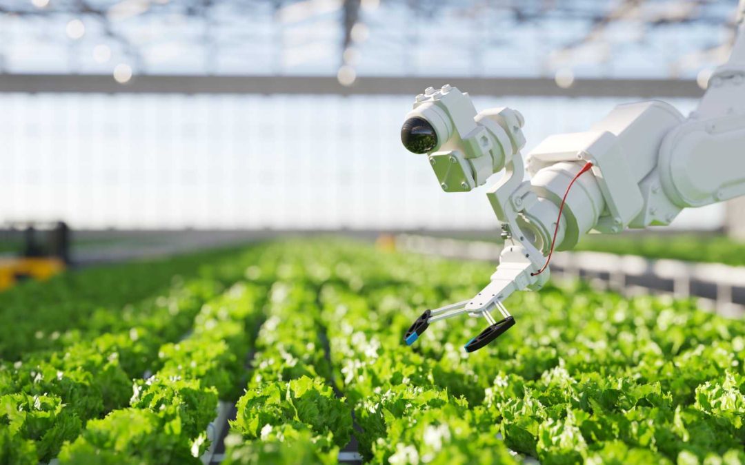 AFA da un paso histórico y se une a Huawei para llevar la inteligencia artificial al campo