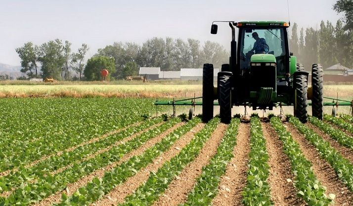 Subió la confianza de los productores, aunque persiste un temor que paraliza las inversiones