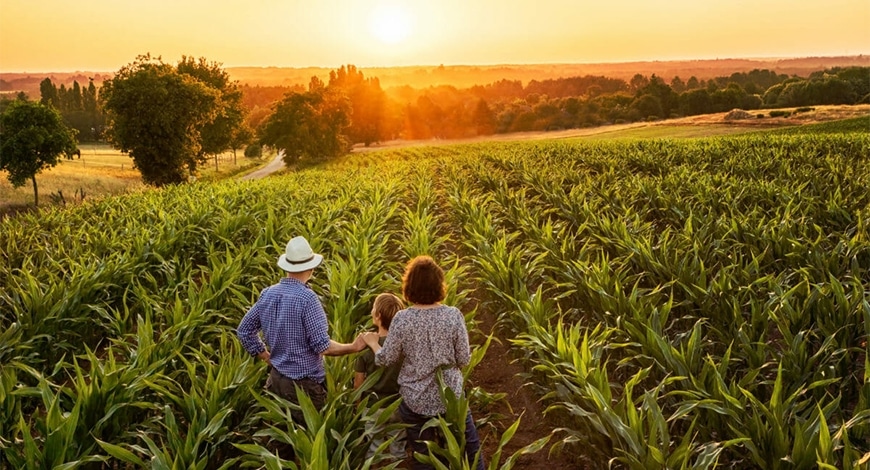 Agricultura familiar: Buenos Aires lanzó nuevas convocatorias para financiar a pequeños productores