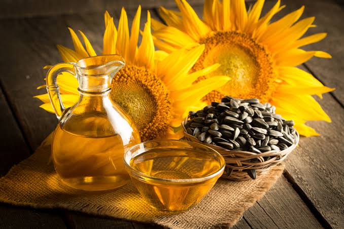Argentina batió récords de exportaciones de aceite de soja y girasol en junio