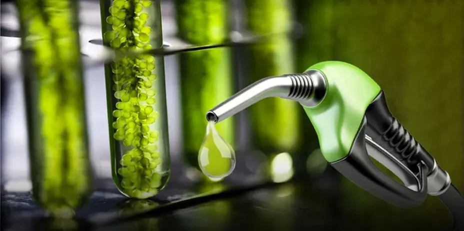 Ley de biocombustibles: la “interna” del biodiésel traba el debate en el Congreso y el bioetanol protesta