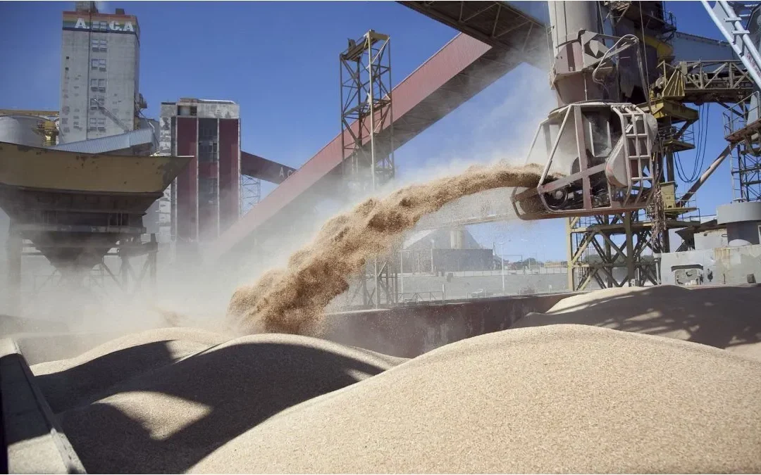 Monitor agroexportador: las 5 cadenas que baten récord tanto en volumen como en dólares