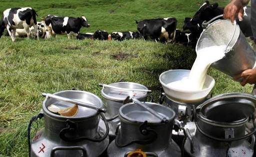 La lechería sigue con buen ritmo productivo, pero se suma a los temores por la llegada de El Niño