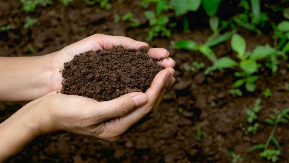 El mercado de biológicos sigue creciendo y lo hace también con espíritu cooperativo