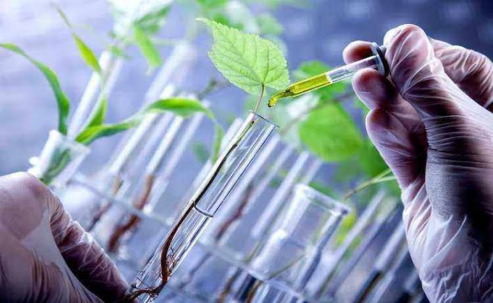 Los bioinsumos dejan de ser una promesa y empiezan a ser un buen negocio