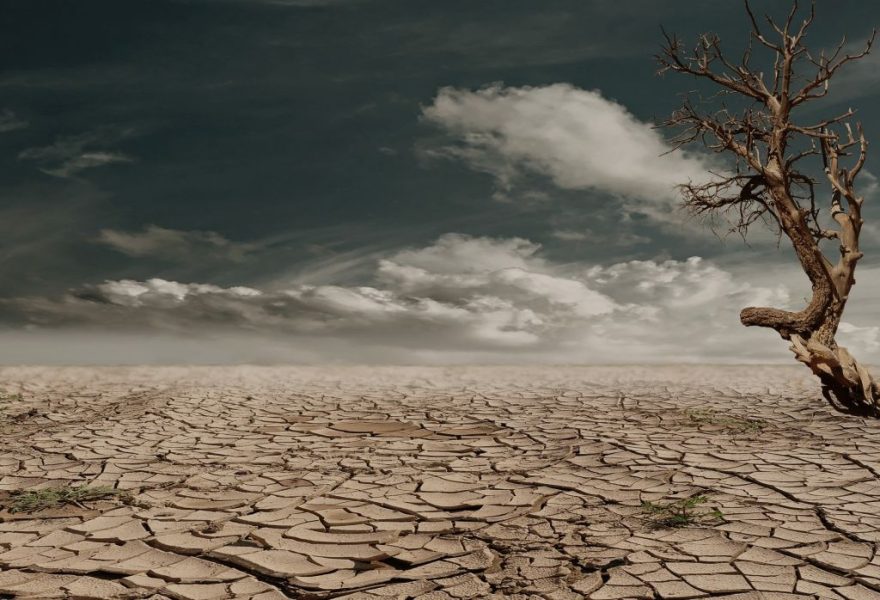 “Graves riesgos”: el Consejo agroindustrial vuelve a la carga ante los senadores por el proyecto de “ecocidio”