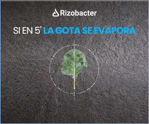 Rizowet_300x250