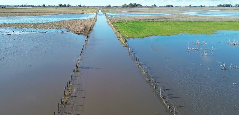 El Niño: un sistema en Corrientes estima el riesgo de inundación de un campo y la carga por hectárea que soporta