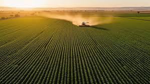 En EEUU y Brasil, productores están en jaque por el alto endeudamiento: ¿ventaja para el campo argentino?